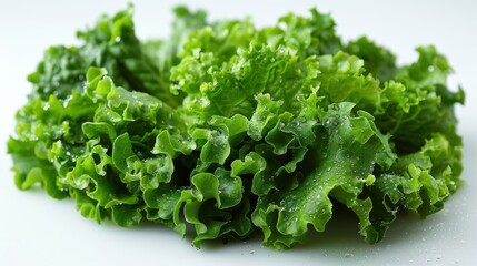 Wall Mural - Fresh Green Lettuce with Water Droplets