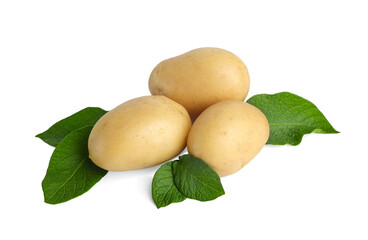 Wall Mural - Fresh raw potatoes and green leaves isolated on white