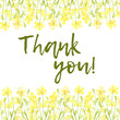 © AliCris - Yellow flowers, small wildflowers, frame with text thank you watercolor illustration. Summer meadow with floral print and wildflowers. Isolated from the background. For designing cards, invitations,