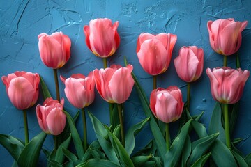 Wall Mural - Pink Tulips on a Blue Background