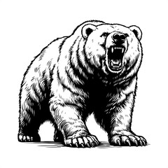 Polar bear in black and white animal drawing,