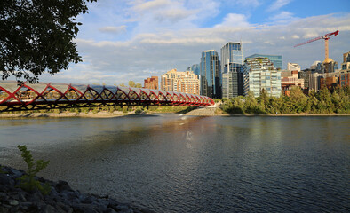 Wall Mural - The city of Calgary - Alberta, Canada