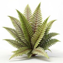 3D Render of Fern Sprite, on isolated white background, Generative AI