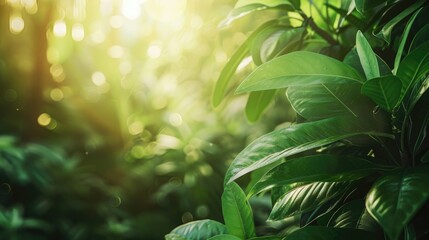 Wall Mural - green leaves in sunlight with blurred backdrop and copy space ecological wallpaper concept