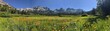 © Sunshine - A breathtaking panoramic landscape featuring a vibrant meadow of wildflowers with a majestic mountain range in the background under a clear blue sky.
