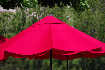 Canvas Print - Red patio umbrella in front of green trees