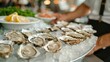 © Intelligent Horizons - Closeup of a fresh oysters bar showcasing an assortment of shucked oysters presented on a bed of crushed ice