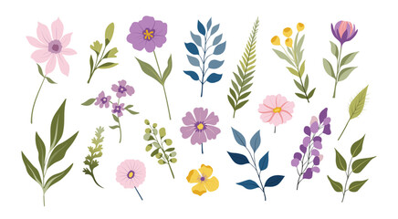 Wall Mural - Set of isolated floral illustration with flowers, branches, berries, feathers, leaves and cute elements in simple plain graphic style on transparent background. Purple and pink color tone.