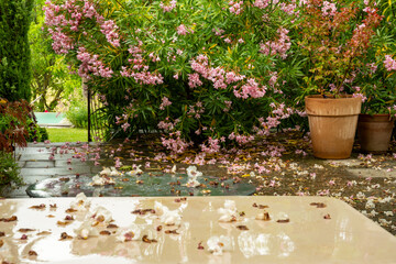 On the terrace in the Mediterranean garden after a thunderstorm. View over the wet table to fallen petals in front of oleander plants