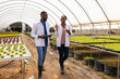 © Wavebreak Media - African American farmers discussing work, using tablet in hydroponic greenhouse