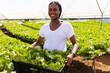 © Wavebreak Media - Smiling female farmer holding crate of fresh lettuce in hydroponic farm