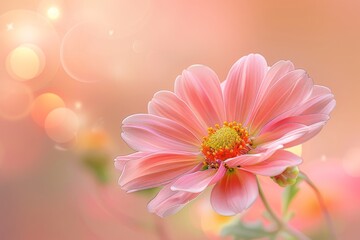 Wall Mural - Pink Flower Close-up with Blurred Background