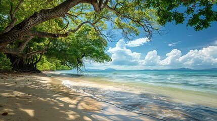 Wall Mural - Beach with trees and sky. copy space for text.