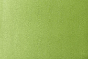 Poster - Texture of genuine leather, artificial leatherette green background