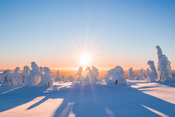 Wall Mural - winter landscape