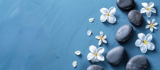 Wall Mural - Spa stones with flowers arranged on blue background providing copy space image.