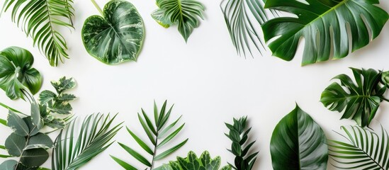 Poster - White background with tropical leaves for a summer-themed flat lay image with copy space image.