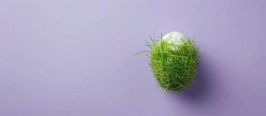 Poster - Easter-themed, a whimsical egg crafted with green grass hair displayed on a lilac background from above, ideal for use as a copy space image.