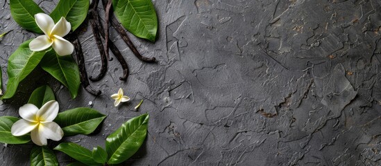 Fototapete - Top-down view of vanilla pods, leaves, and flowers arranged on a textured gray table, with ample space for text alongside the image.