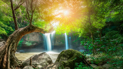 Beauty in nature, amazing waterfall in tropical forest of national park, Thailand