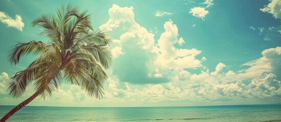 Wall Mural - Tropical beach scene with a palm tree, blue sky, and white clouds as a background for vacation and travel themes. Vintage filter style with copy space image.