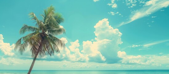 Poster - Tropical beach scene with a palm tree, blue sky, and white clouds as a background for vacation and travel themes. Vintage filter style with copy space image.
