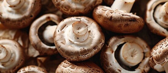 Wall Mural - Close-up view of brown mushrooms, including champignons, whole and cut in half, with ample copy space image in the frame.