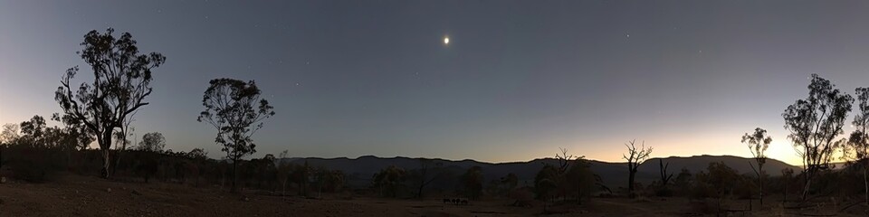 Sticker - A panoramic shot of a forest at night with a bright star in the sky