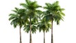 © chutikan - Image of green palm trees on white background.