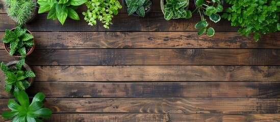 Poster - Plants sit on a wooden floor, offering a copy space image for text.