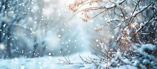 Poster - The snowy background with branches on the ground offers a copy space image.