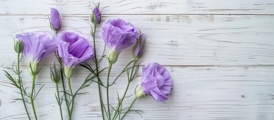 Aufkleber - Eustoma violet flowers displayed on a white wooden surface with available copy space image.