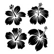 © Raj - Vector set of black silhouettes of tropical hibiscus flowers isolated on a white background