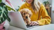 © Irina Ukrainets - Cozy, modern home workspace with a cute puppy sitting on a laptop keyboard and a woman working. The bright yellow sweater adds a touch of warmth. Ideal for remote work themes. AI
