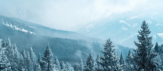 Aufkleber - Snowy mountains in winter offer a peaceful retreat with deep, snow-covered forests and white tree tops against a serene backdrop with a copy space image.