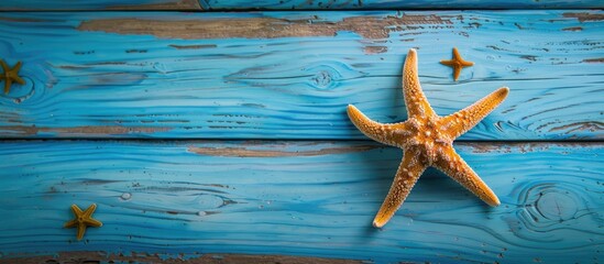 Leinwandbilder - Top view of a starfish on blue wooden boards with copy space image.