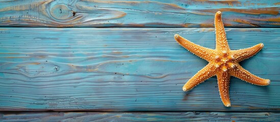 Leinwandbilder - Top view of a starfish on blue wooden boards with copy space image.
