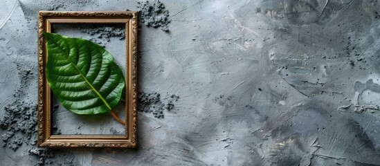 Poster - An antique brass picture frame with no image, alongside a green leaf, set against a concrete backdrop, serving as props for photography, with space for text. Copy space image