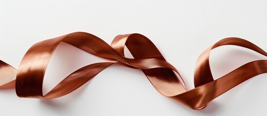 Wall Mural - Brown ribbon displayed in a qualitative copy space image with a white backdrop.
