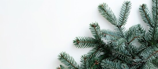 Fototapete - Top view of a festive fir tree on a white backdrop with copy space image for your text, ideal for Christmas or New Year greetings.