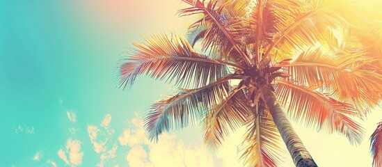 Canvas Print - Tropical palm tree wallpaper with vintage effect in a sunny tropical resort landscape, perfect for travel inspiration with a copy space image.