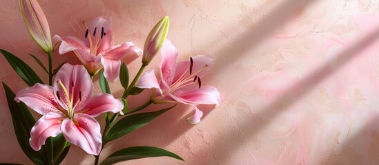 Poster - Lilies displayed elegantly against a light backdrop with copy space image.