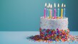 © MP Studio - The birthday cake with candles