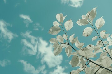 Canvas Print - tree leaves against the sky