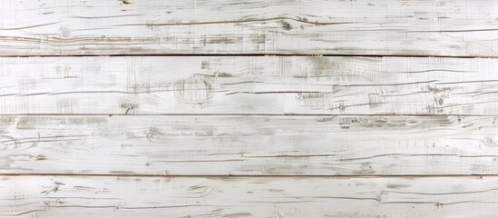 Wall Mural - Top view of natural white wood plank from a forest, displaying original texture, ideal as a background with copy space image.