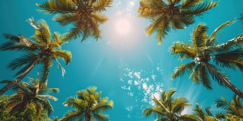 Poster - Tropical Paradise: Palm Trees Against a Blue Sky