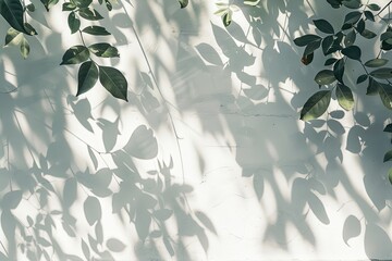 Sticker - Abstract natural tree leaves shadow on white wall background