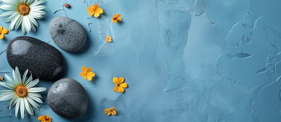 Wall Mural - Spa stones with flowers arranged on blue background providing copy space image.