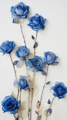 Wall Mural - Pressed blue rose flowers petal plant wall.