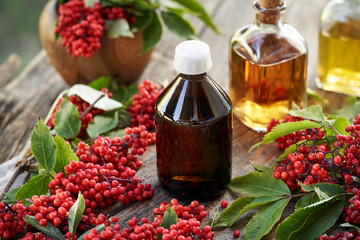 Wall Mural - A bottle of herbal tincture made of fresh red elderberry or Sambucus racemosa fruit on a table